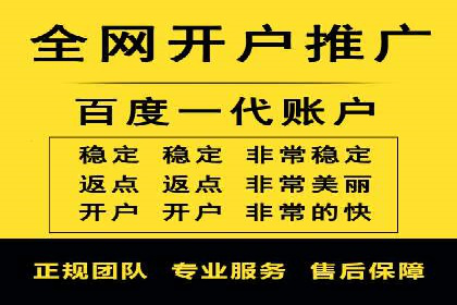 竞价排名的投放策略与效果评估案例